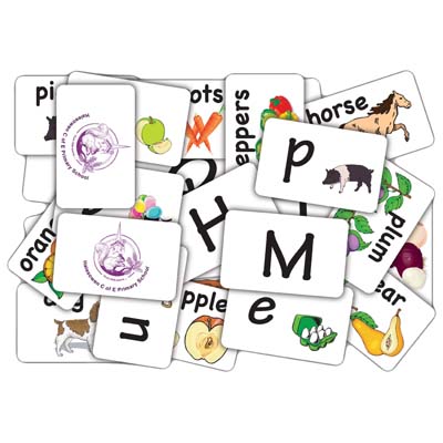 Flash Snap Spelling Cards