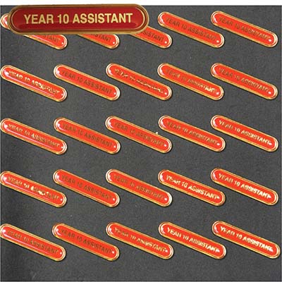Clearance Bulk Red Year 10 Assistant Bar Badges